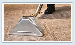 expert carpet cleaning